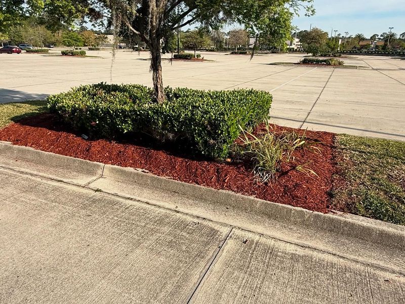 Shrub Trimming