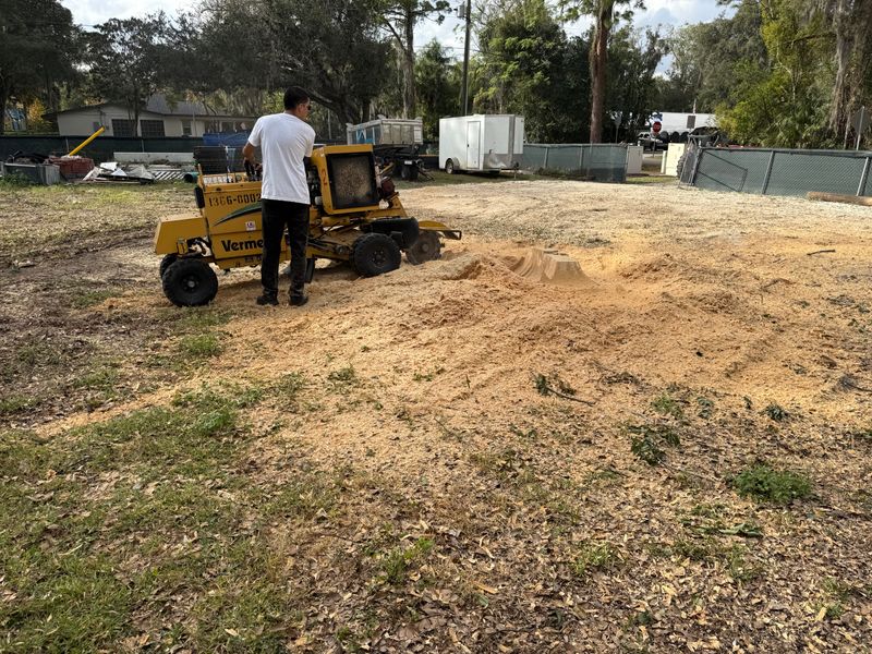 Land Clearing