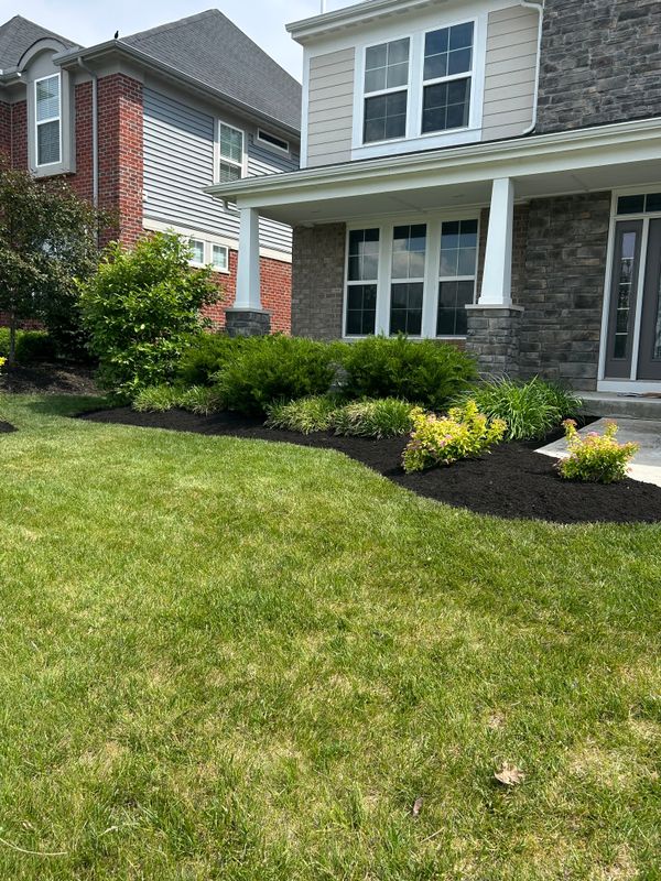 Mulching and Spring Cleanups