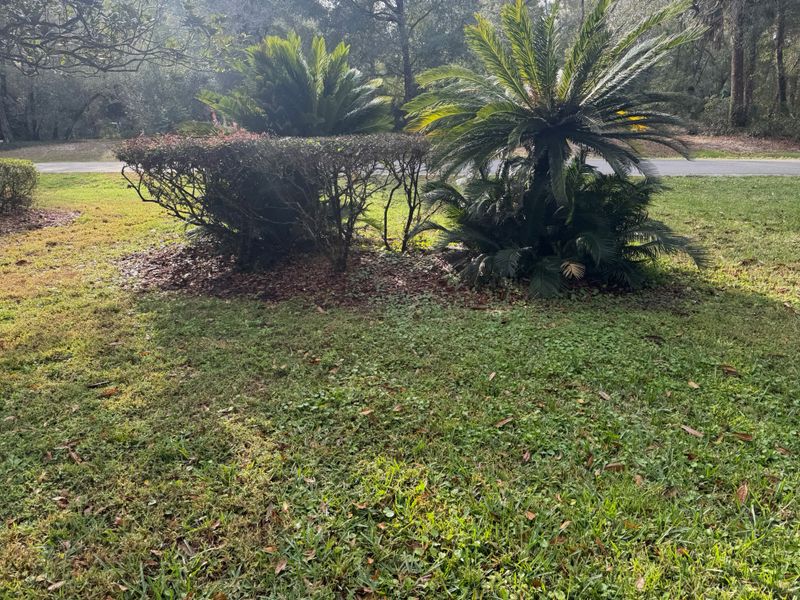 Mowing