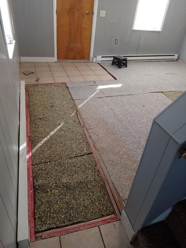 Interior Repairs