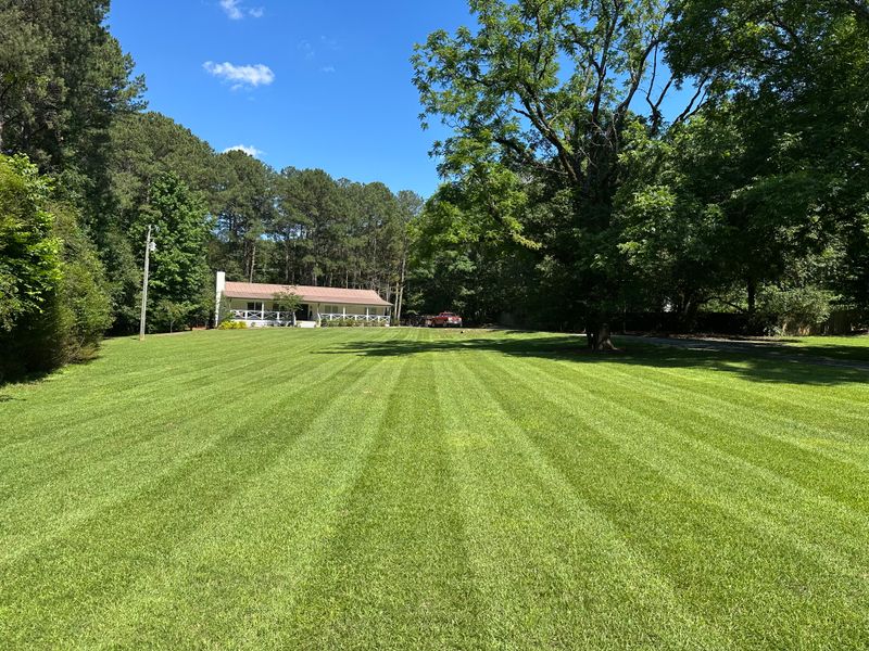 Lawn Care
