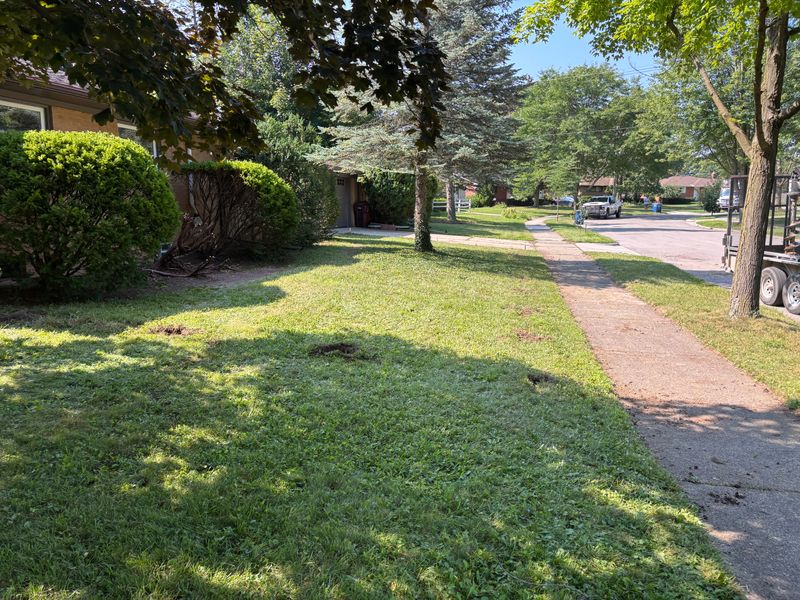 Ann Arbor Fence Project