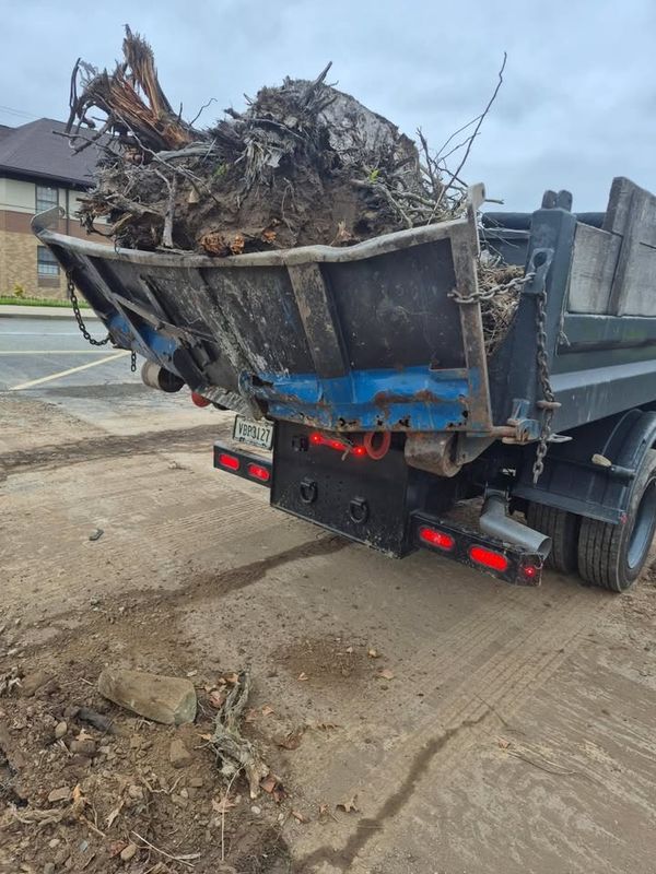 Tree & Shrub Care