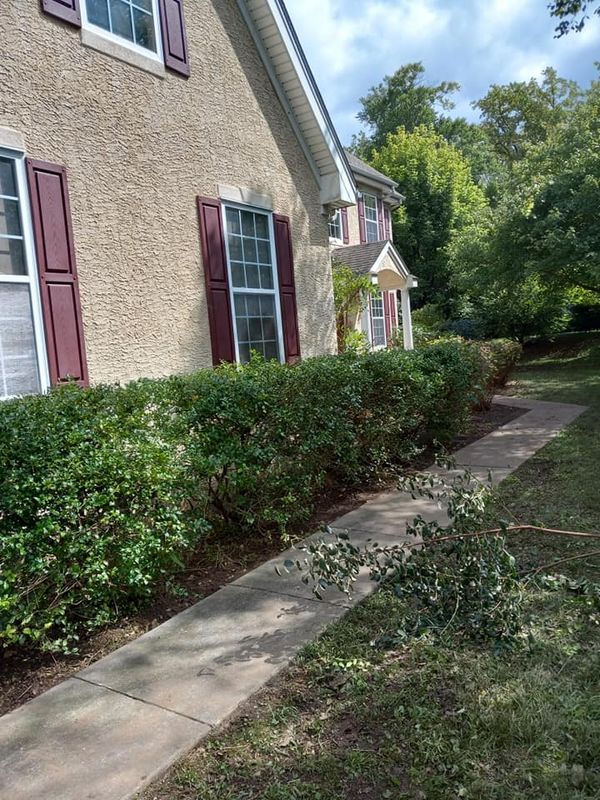 Lawn Care