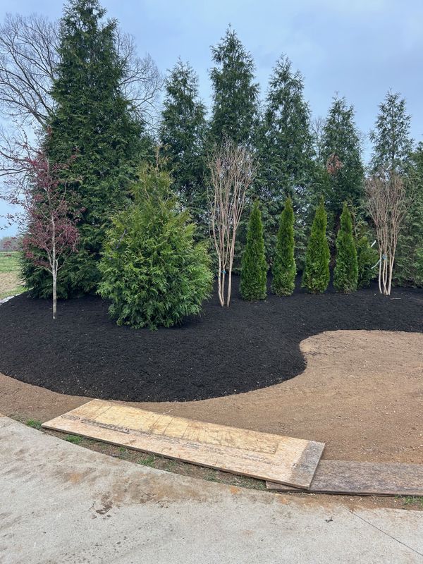 Grading and Leveling