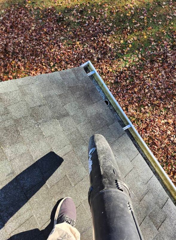 Fall and Spring Clean Up