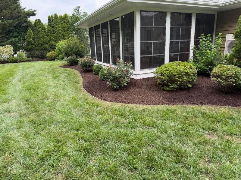 Landscape Design & Installation