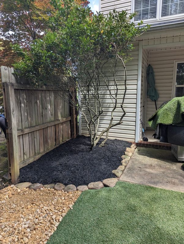 Tree & Shrub Care