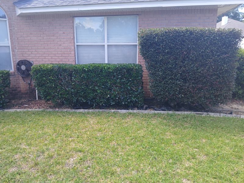Lawn Maintenance