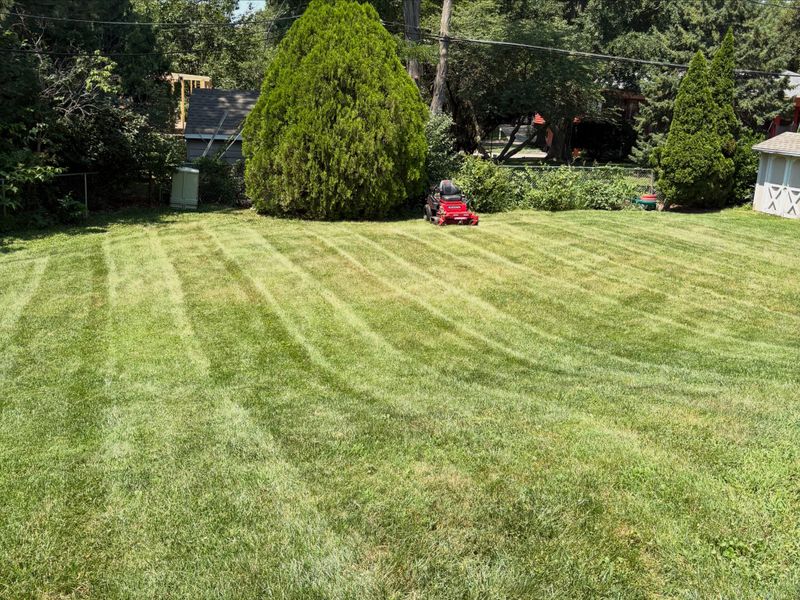 Lawn Maintenance