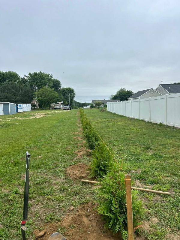 Tree and Shrub Planting