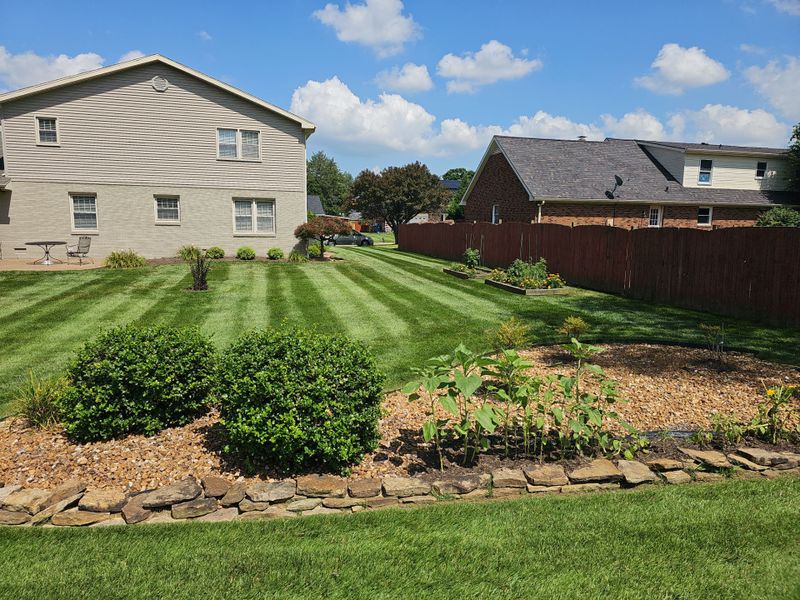 Lawn Maintenance Service