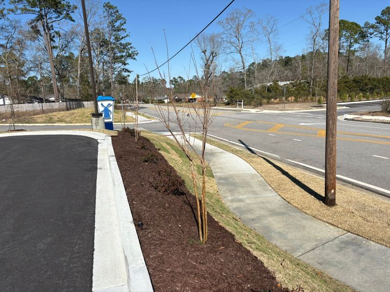 Tree & Shrub Care