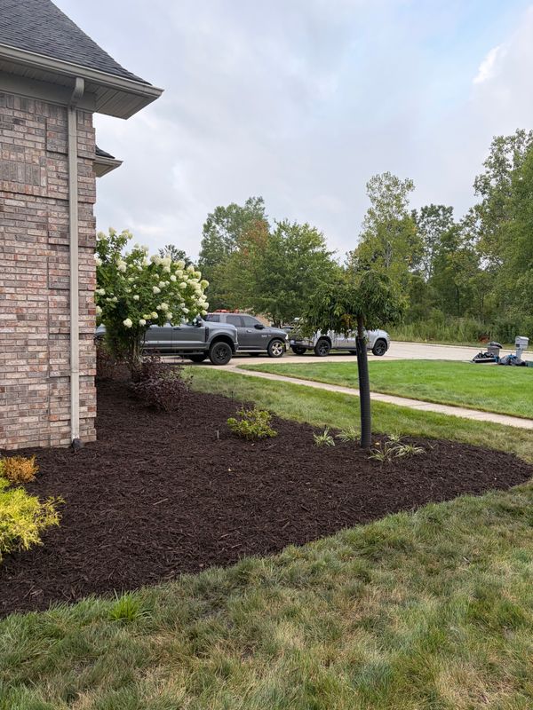 Landscaping