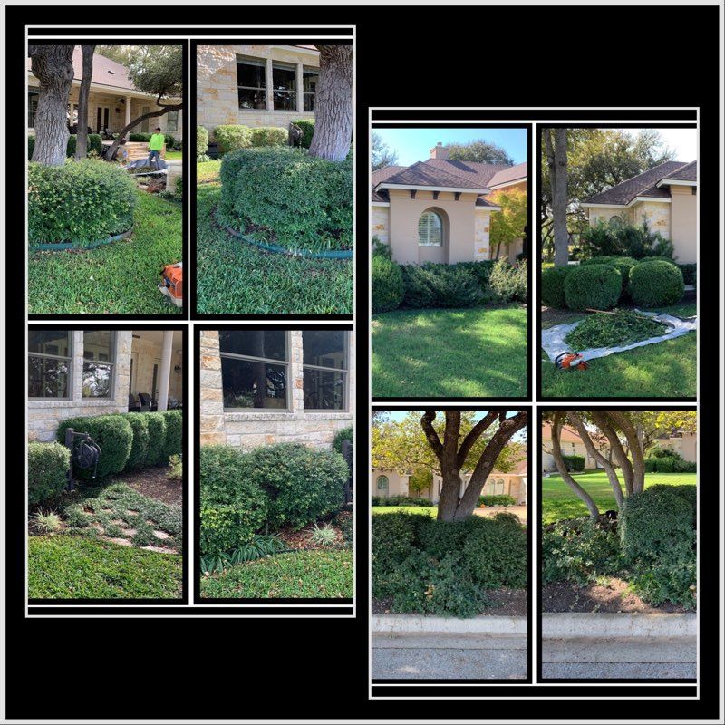 Lawn Care