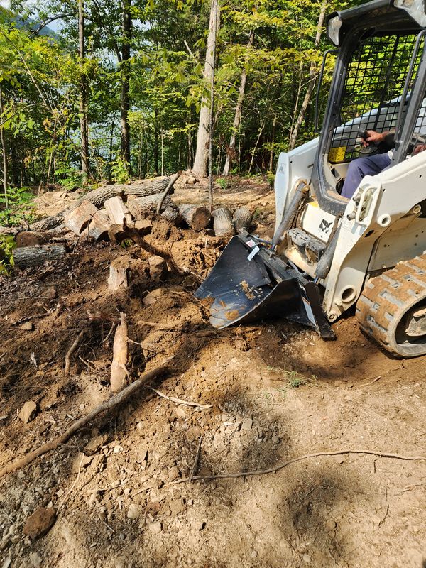 Stump grinding or removal