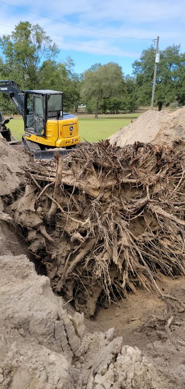 Tree Trimming & Removal gallery