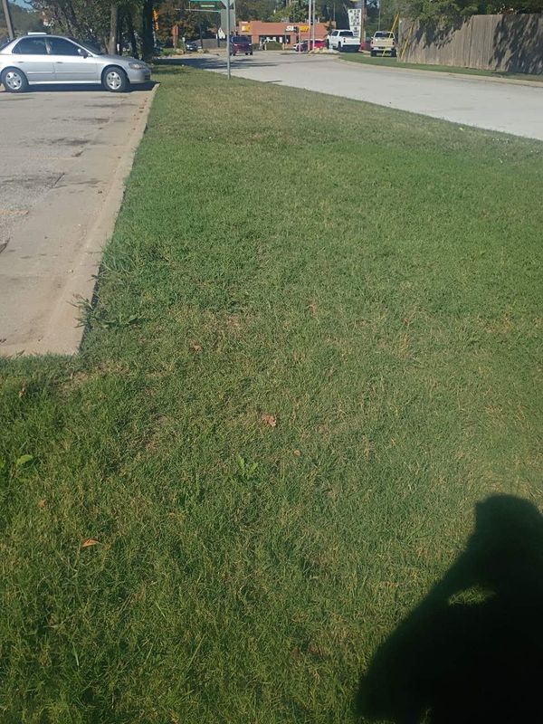 Commercial Landscaping & Lawncare