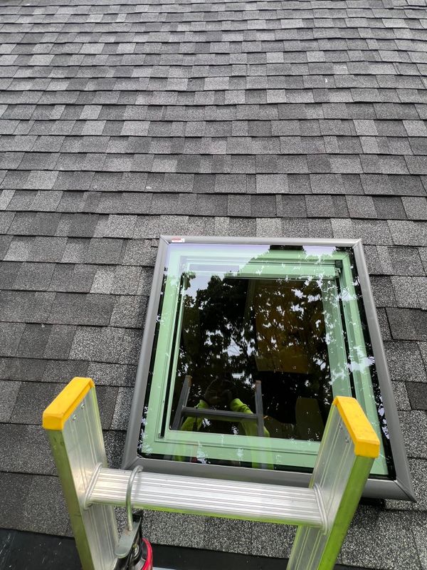 Windows and Doors