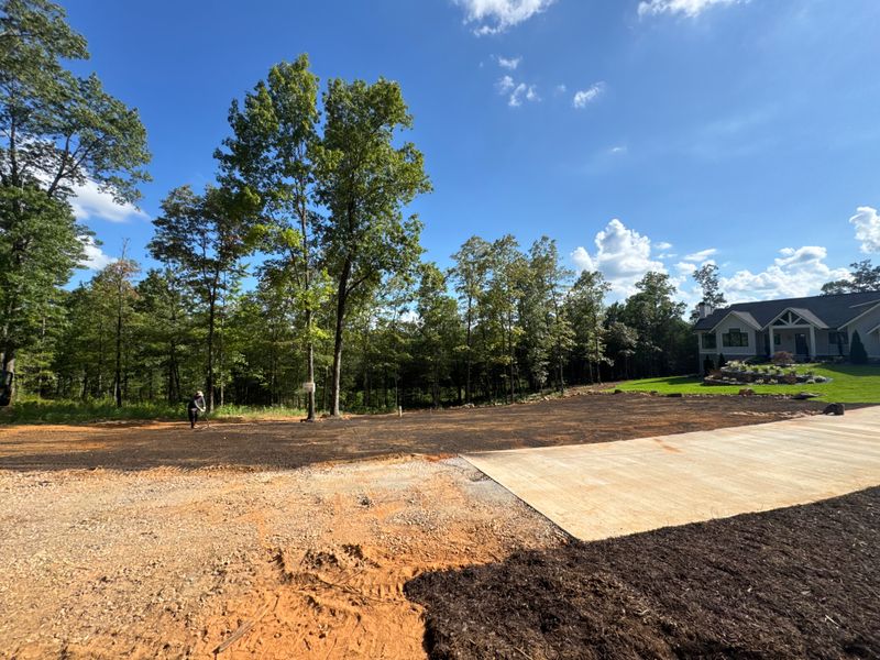 Hydroseeding gallery