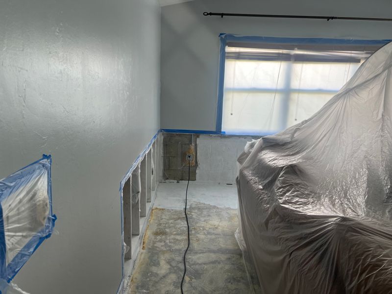 Mold Remediation