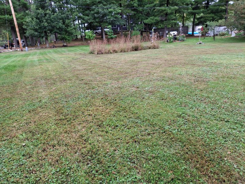 Lawn Maintenance