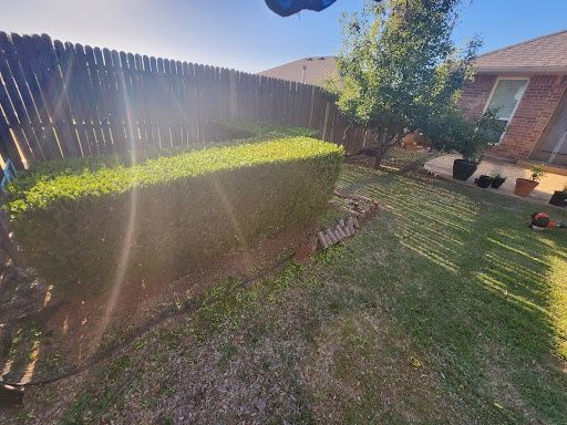 Tree and Shrub Care