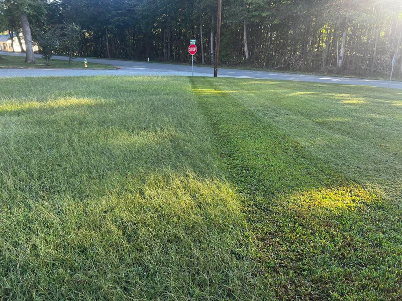 Other Lawn Maintenance