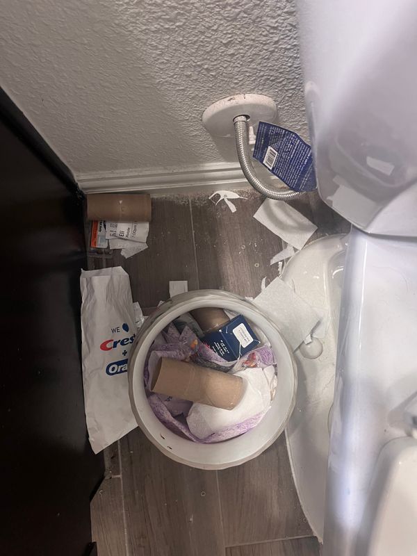 Bathroom Cleaning