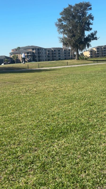 Lawn Maintenance