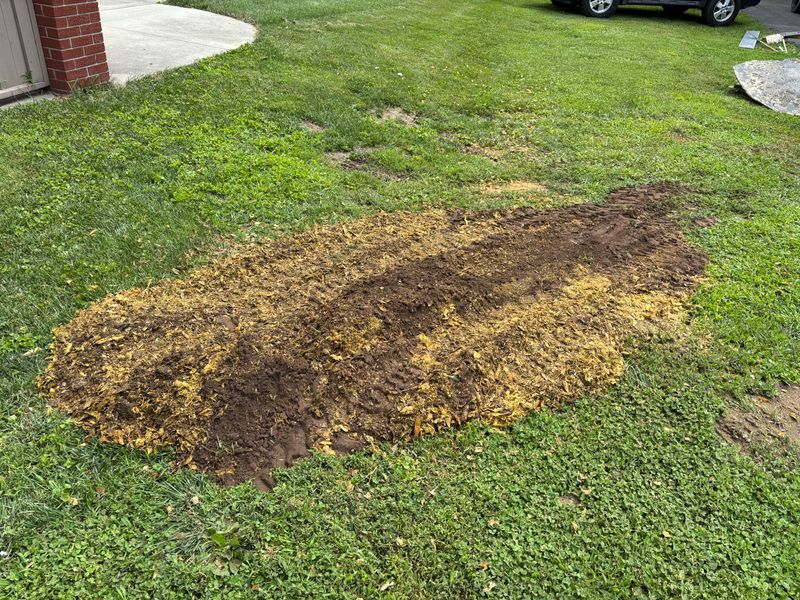 Stump Removal