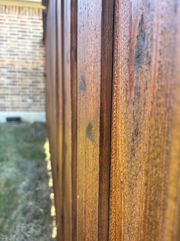 Fence Staining