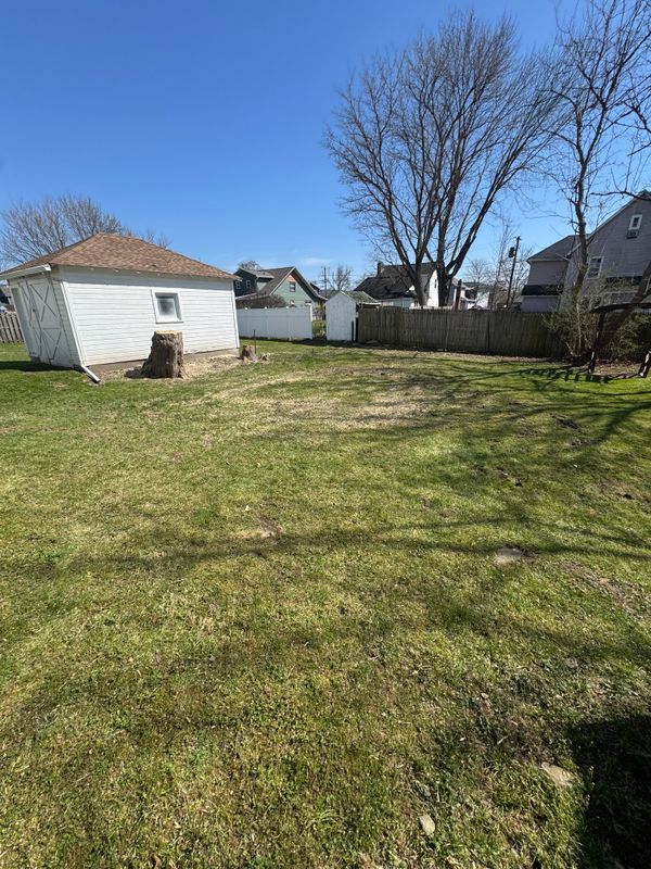 Stump Removal / Stump grinding