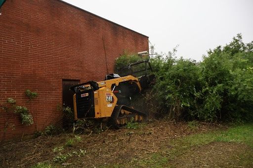 Land Clearing