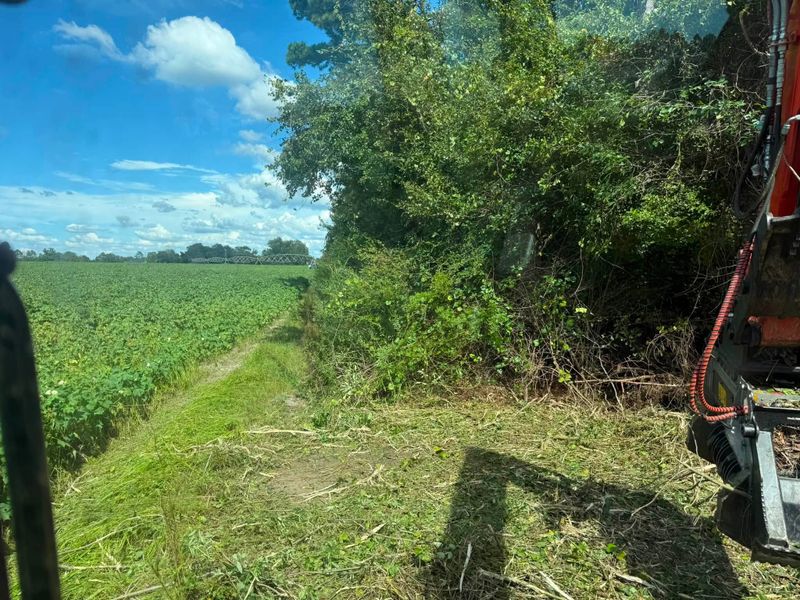 Land Clearing