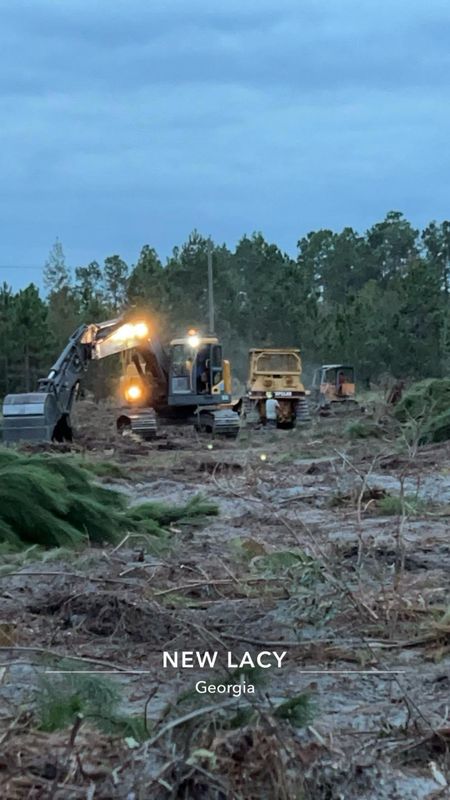 Land Clearing And Clean Up