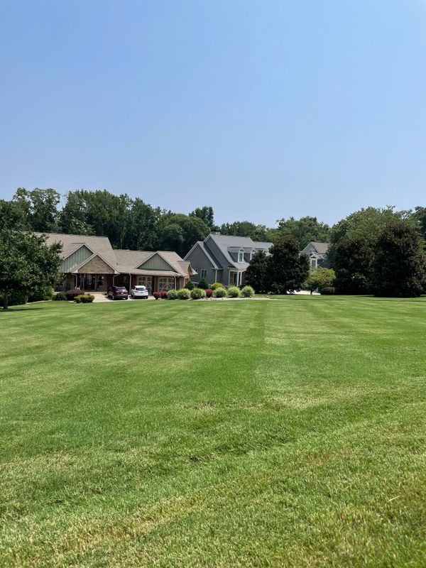 Lawn & Landscape Maintenance