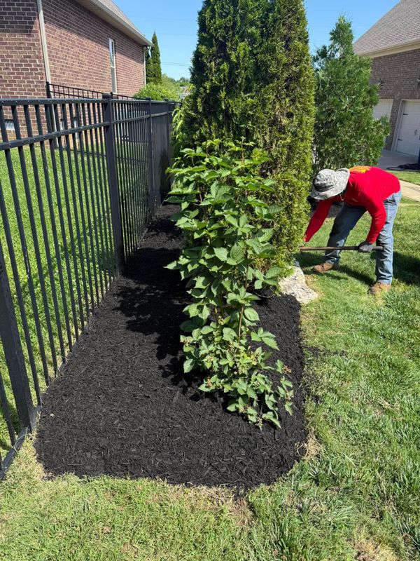 Mulch Installation