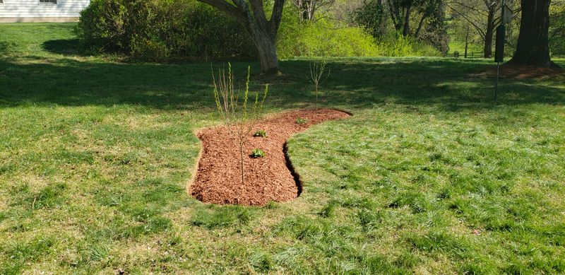 Mulching
