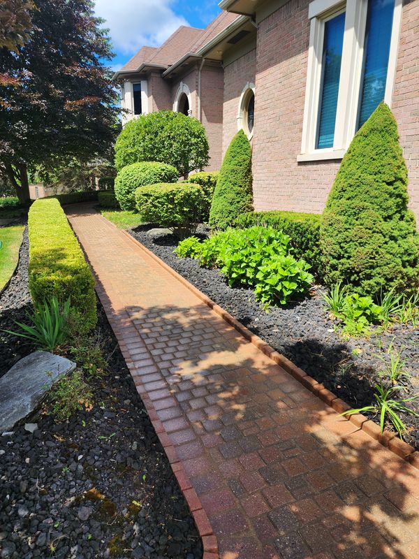 Shrub Trimming