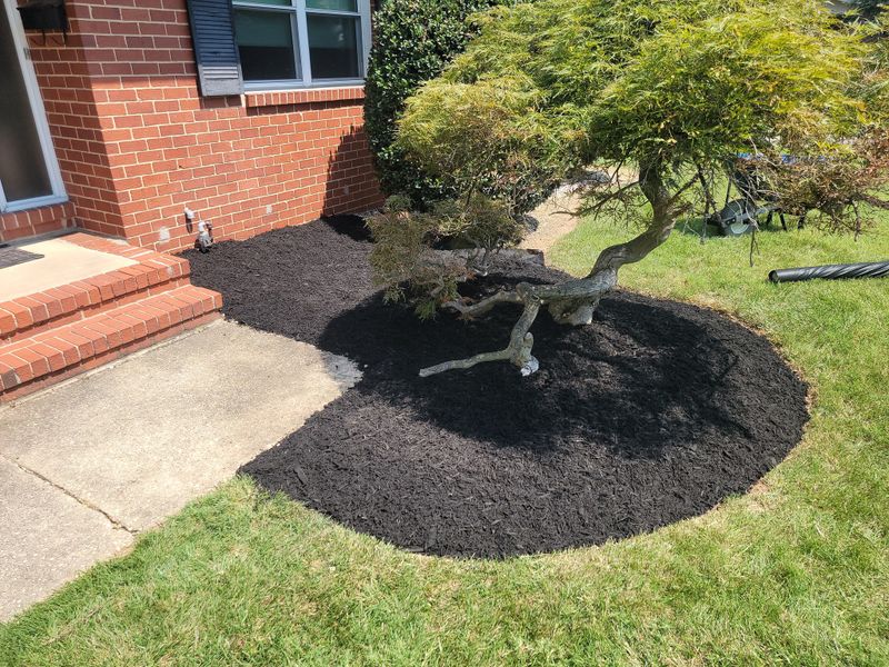 Mulch Installation
