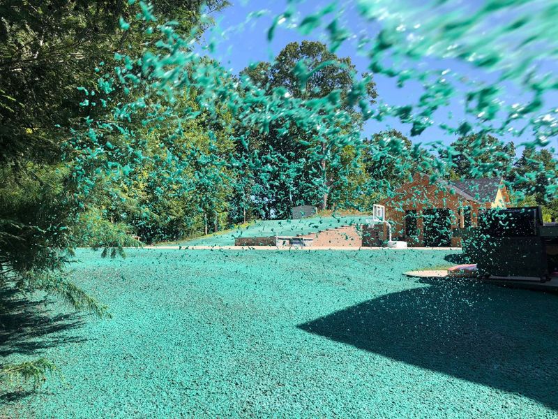 Residential Hydroseeding