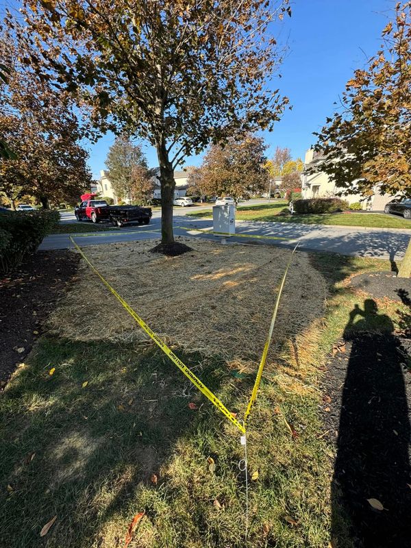 Landscaping
