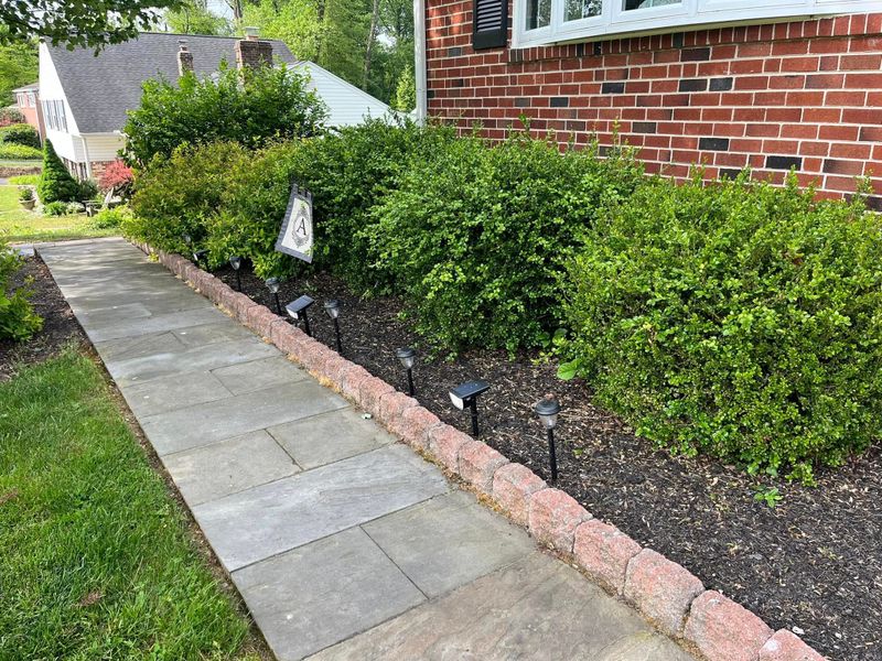 Landscape Lighting