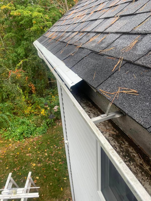 Gutter Cleaning