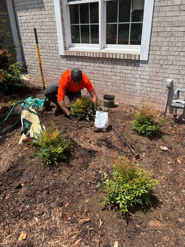 Landscaping
