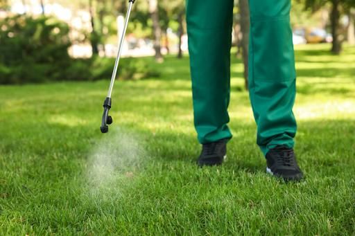 Mosquito Treatments