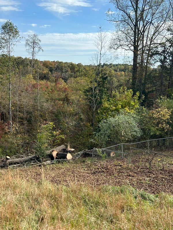 Fall Clean Up