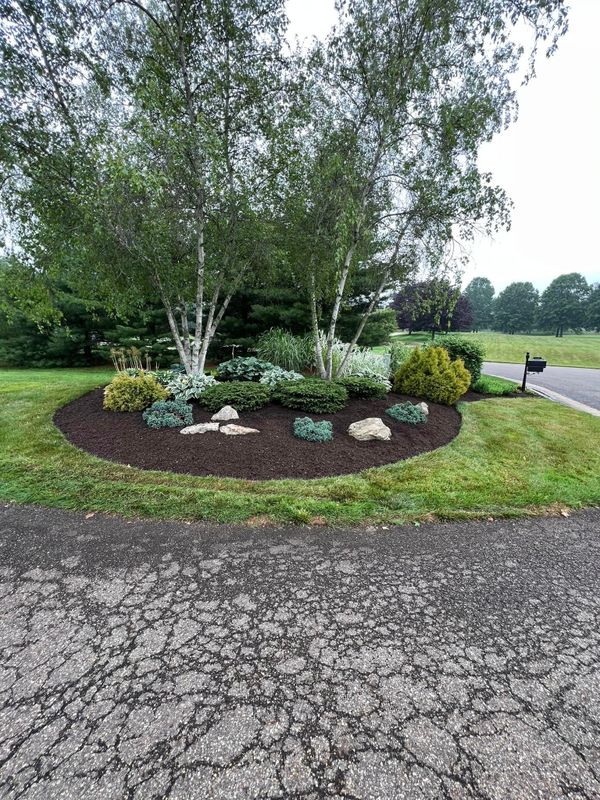 Landscaping